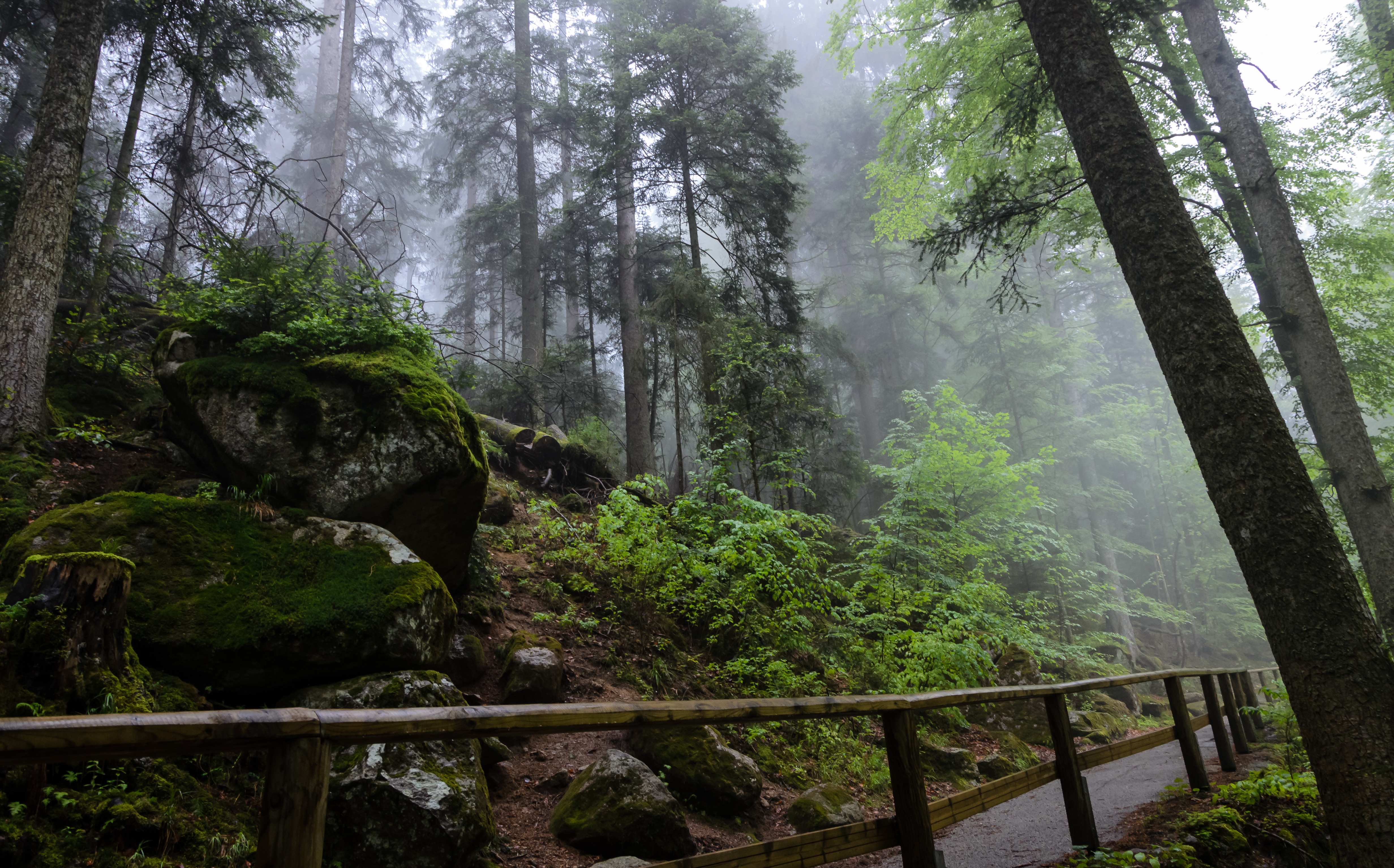 6 Best City Parks in America
