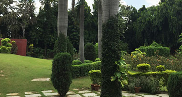 AEROFLIGHT GREEN ENVIRONMENT