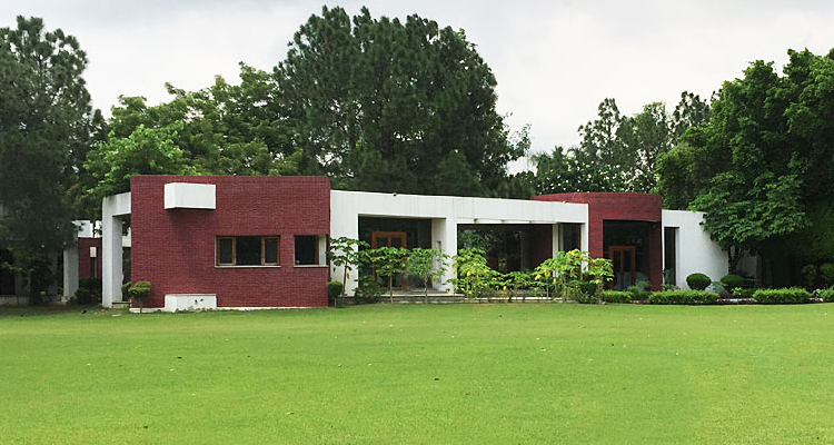 GREEN OFFICE