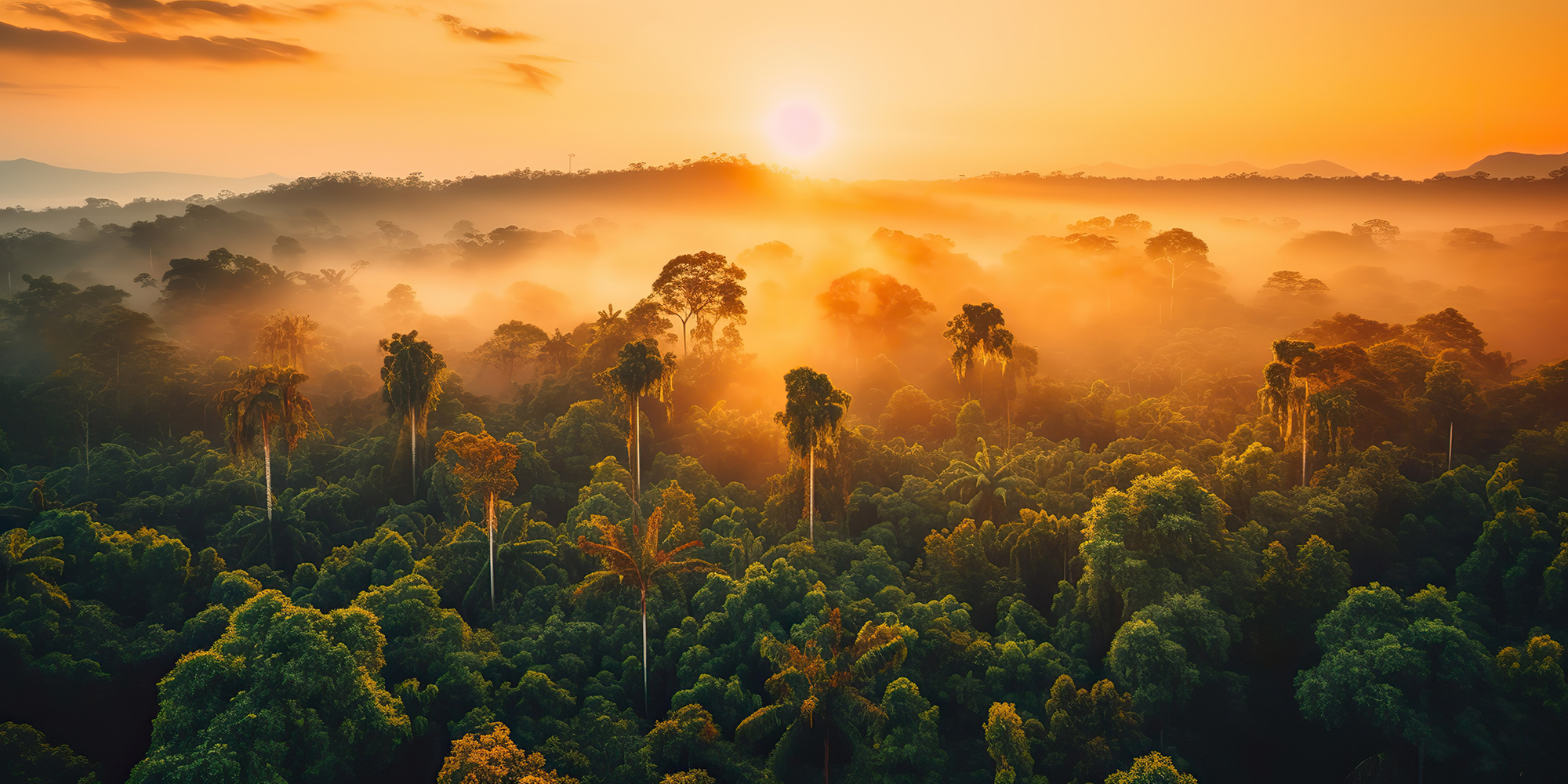 El Tesoro Verde de América: La Selva Amazónica en Brasil, Perú, Ecuador y Colombia
