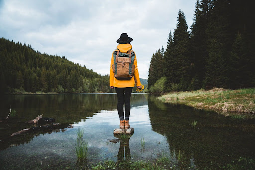 Los Mejores Destinos para Disfrutar del Ecoturismo en 2025