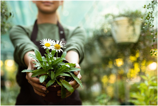 Horti-Cultura: Escapadas a los jardines más bellos de Sudamérica