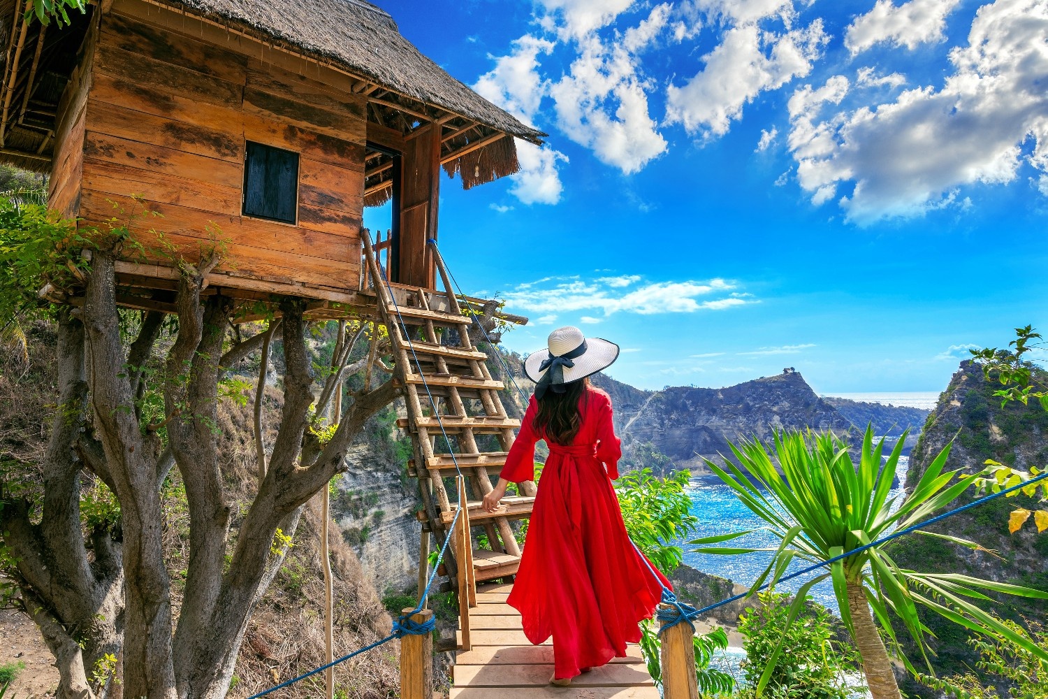🌿 Treeful Treehouse: El hotel japonés que redefine el lujo desde las alturas