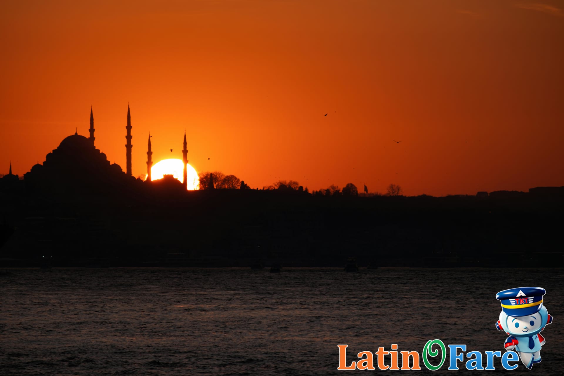 Istanbul First-Timer's Guide: Essential Tips and Must-Sees