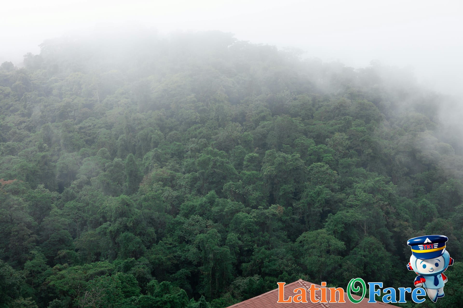 Costa Rica's Green Season: Why Rainy Season is Actually Great