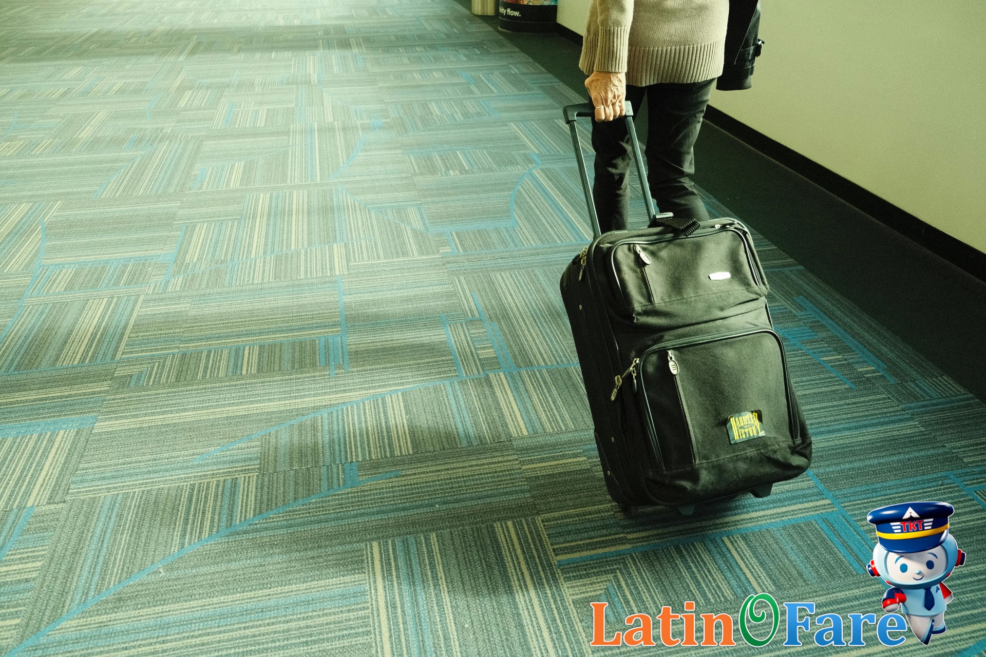 Frequent Flyer 101: Getting the Most Out of Your Miles
