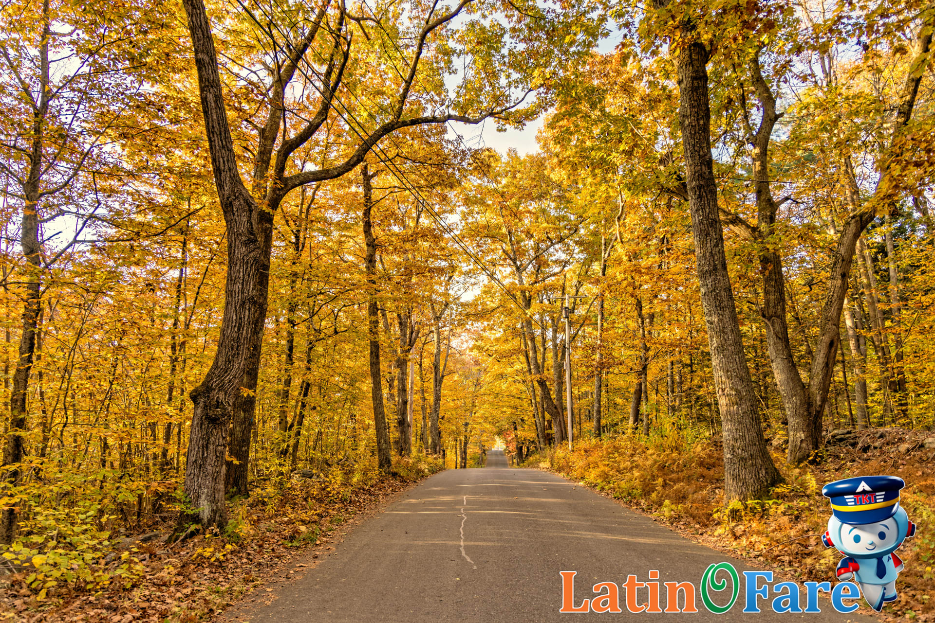 Fall Foliage in New England: Scenic Drives and Leaf-Peeping Towns